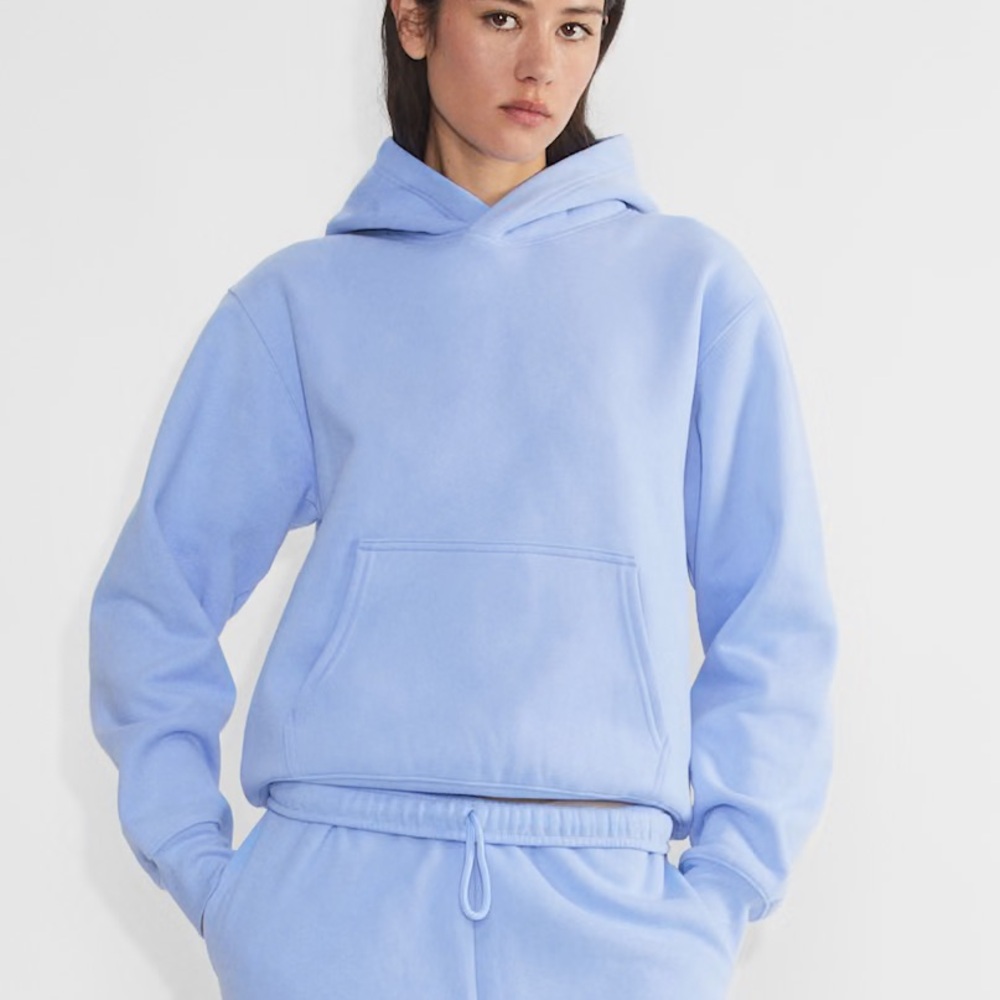Aritzia TNA Light Blue Cozy fleece Hoodie